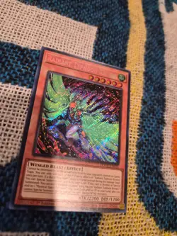 Yugioh - Radiant Typhoon Krosea - Secret Rare - DOOD-EN015 - READ DESCRIPTION - Image 2