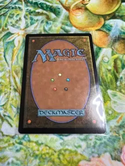 Heartflame Duelist (Foil) MTG: Wilds of Eldraine *Pack Fresh* - Image 2