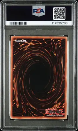 PSA 10 Dragon of Illumination Promo Card Japan Championship Exclusive - Image 3