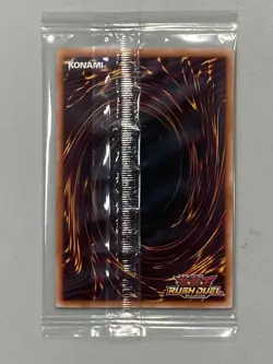 Silver's Cry - RD/ECG1-JP010 - Yugioh Promo Sealed Card Japanese - Image 2