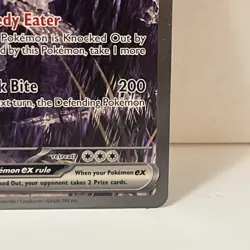 Pokemon TCG Hydreigon EX 169/086 Sv: White Flare Sir Special Illustration Rare - Image 5