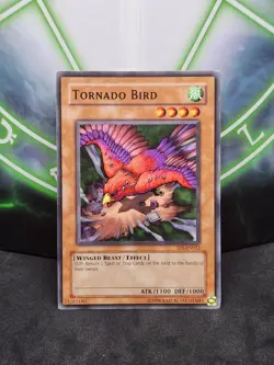 Yugioh Tornado Bird TP5-EN012 Common NM - Image 1