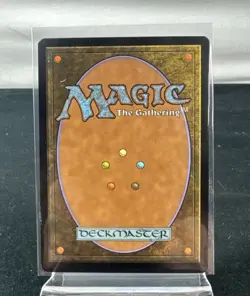 Magic The Gathering: Misty Rainforest Zendikar Regular - MR4 - Image 2