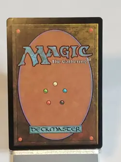 MTG Forest Tempest Regular Land Magic - Image 5