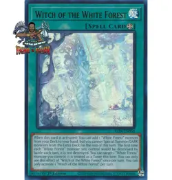 Yugioh 1x Witch of the White Forest ALIN-EN058 Ultra Rare 1st Ed NM - Image 1