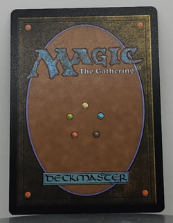 Keen-Eyed Curator (Showcase) - Bloomburrow - BLB - 322 - MTG - Image 2