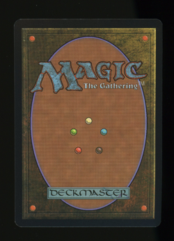 Elvish Champion (Scholarship Series) - Foil - MTG Junior Series Promo - RareCo - Image 2