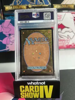 2025 MTG Final Fantasy EN Borderless Foil 0406 Traveling Chocobo PSA 10 GEM MINT - Image 2
