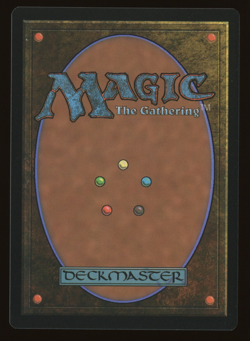 Radagast the Brown - FOIL - Extended Art - MTG Universes Beyond: LOTR - RareCo - Image 2
