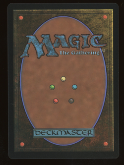 Anduril, Flame of the West - Foil - Extended Art - MTG Universes Beyond: LOTR - Image 2