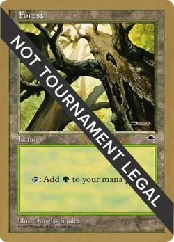 Forest (Skyward) - 1999 Matt Linde (TMP) - Light Play MTG - Image 1