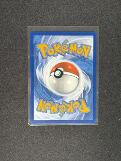 Team Rocket’s Wobbuffet SVP 203 Black Star Promo Pokemon Card NM/M TCG - Image 2