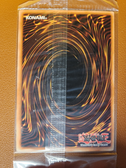 YU-GI-OH DARK PALADIN DMG-001 LIMITED EDITION SEALED TCG SECRET RARE PROMO CARD - Image 2