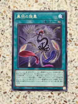 Yu-Gi-Oh! Card Black Feather Whirlwind Japanese Rare - Image 1