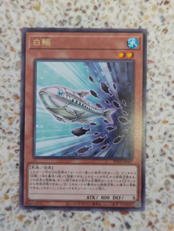 Yu-Gi-Oh! Card White Sardine Japanese Rare - Image 1