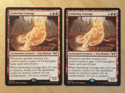 Magic the Gathering MTG 1x Enduring Courage Duskmourn House of Horror NM - Image 1