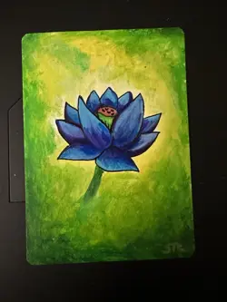 MTG Hand Painted Black Lotus By Sierra Rush On Signed Forest By C Rush - Image 1