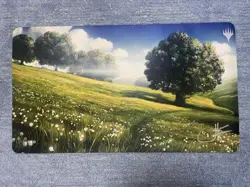 Mtg Plains John Avon Signed Playmat - Image 1
