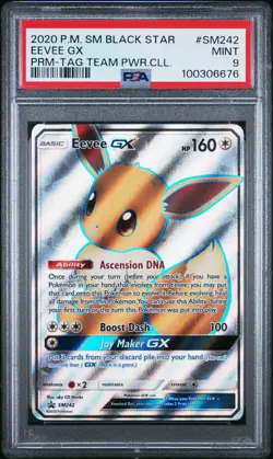 PSA 9 2020 POKEMON SM BLACK STAR PROMO SM242 EEVEE GX TAG TEAM POWERS COLLECTION - Image 1