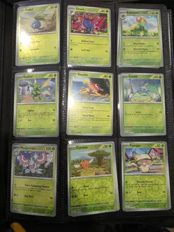 Pokemon Obsidian Flames Master Set with Binder Scarlet and Violet - Image 2