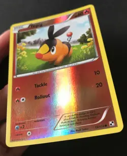 3 X Black & White Base Pokemon Cards Reverse Holo Tepig Glalie Dewott 15/114 - Image 5