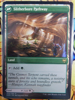MTG - Darkbore Pathway/Slitherbore Pathway; Dual sided land (B/G); LP - Image 2