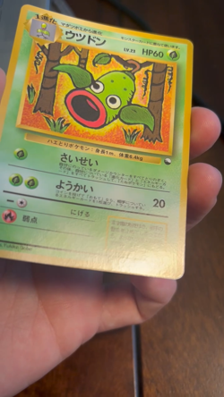 [NM] WEEPINBELL Pokemon Japanese No.070 Vending Series Vintage Glossy MINT - Image 2