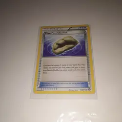 Anorith 100/114 - Common Pokemon Card - XY11 Fossil Claw - Near Mint Condition - Image 1