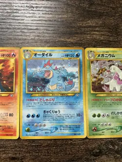 Typhlosion Feraligatr Meganium Japanese Pokemon Cards Premium File Trio Set - Image 4