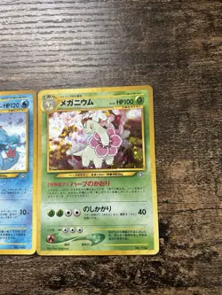 Typhlosion Feraligatr Meganium Japanese Pokemon Cards Premium File Trio Set - Image 5