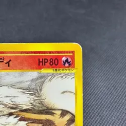 Arcanine 016/088 Fifth Skyridge Mysterious Mountains Japanese Pokemon Card #CA29 - Image 2