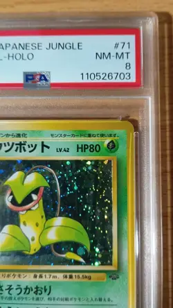 Japanese PSA8 Weepinbell Old Back Old Back Pokemon Card Game Victreebel - Image 3