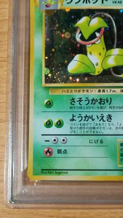 Japanese PSA8 Weepinbell Old Back Old Back Pokemon Card Game Victreebel - Image 4