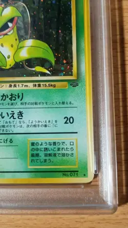 Japanese PSA8 Weepinbell Old Back Old Back Pokemon Card Game Victreebel - Image 5