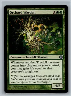 Magic The Gathering Morningtide Orchard Warden #131/150 MTG TCG CCG - Image 1