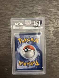 PSA 10 PHANPY 205/191 ILLUSTRATION RARE SURGING SPARKS POKEMON 😍 - Image 2