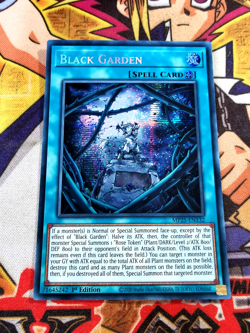 Black Garden mp25-en132 1st Edition (NEW) Prismatic-Secret Rare Yu-Gi-Oh! - Image 1