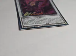 Yugioh Bramble Rose Dragon DOOD-EN039 Secret Rare 1st Edition NM - Image 5