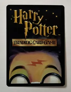 HARRY POTTER TCG DIAGON ALLEY HOLO FOIL RARE CARD #8/80 FLOURISH AND BLOTTS LP - Image 2
