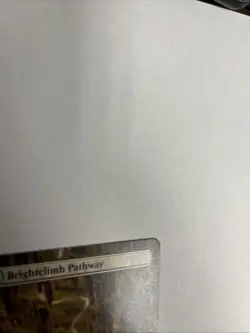 Brightclimb Pathway Borderless Non Foil Zendikar Rising MTG - Image 3