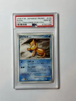 Pokemon Card Buizel 120/DP-P Collection Challenge Gym Collection PSA 10 GEM MINT - Image 1