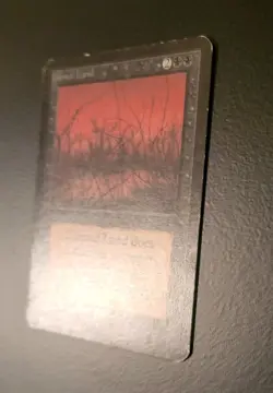 Cursed Land - Beta - Magic the Gathering MTG Card - Image 2