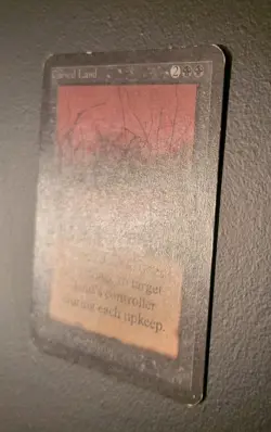 Cursed Land - Beta - Magic the Gathering MTG Card - Image 3