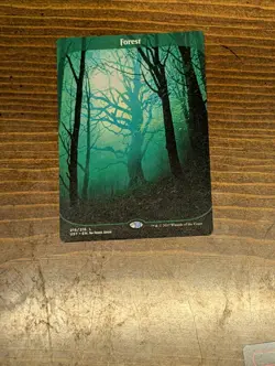 Unfinity/Unstable/Unglued - Full Art Lands - 18 Lands MTG LP-NM - Image 3