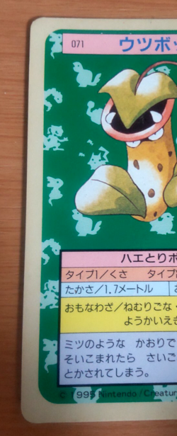 Pokemon Card Japanese Top sun Victreebel 1995 vintage from Japan - Image 3
