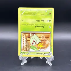 Chikorita RC1/RC32 Radiant Collection Generations Regular Pokemon Card 2016 LP - Image 3