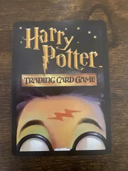 Harry Potter CCG Diagon Alley Card 43/80 Porcupine Robe - Image 2