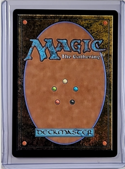 2025 MTG Magic the Gathering TDM Dragonstorm Full Art Foil 287 Dragon Eye Plains - Image 2