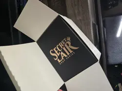 Secret Lair OMG KITTIES ⭐Box Open, Cards Sealed⭐ MTG NM Near Mint - Image 2