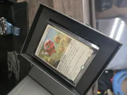 Secret Lair OMG KITTIES ⭐Box Open, Cards Sealed⭐ MTG NM Near Mint - Image 3
